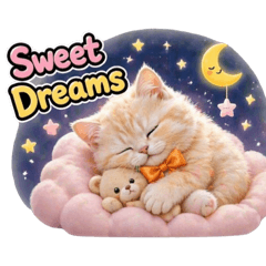 cute cat P3