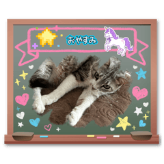 Eichan_20260427093335