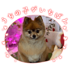 hiichan_20260427091747