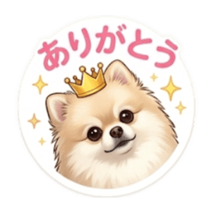 nooonchiii_20260427093215