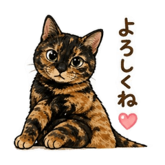 MomiziToMaron_20260427121224