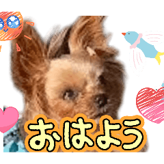 yoshiko a_20260427104445