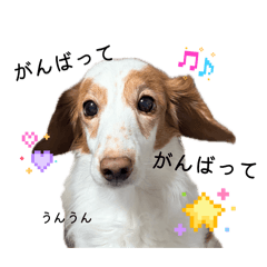 chiiiboo_20260427121915