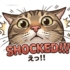 YO KU_20260427122858