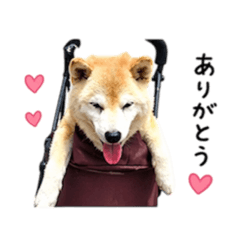 Hanappakun_20260427122814