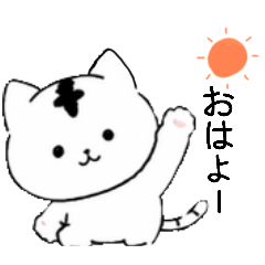 Cham's_20260427122725