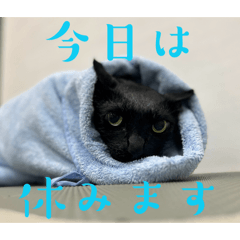 cieruna_20260427092141