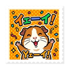 Guinea pig (POP)