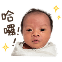 霏霏妹妹表情包