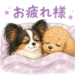 Papillon and Poodle Stickers2