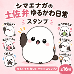 Daily Use  Cute Tosa Dialect Shimaenaga