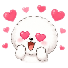 Fluffy Bichon Reactions (No Text)