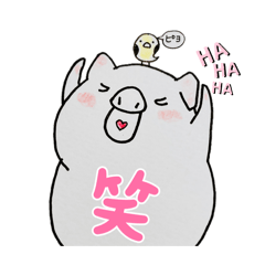 mid^O^ri3_20260426210006