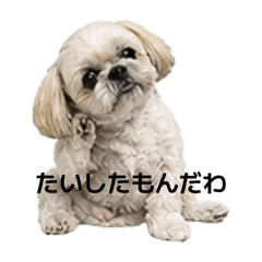 Colon_20260426210302