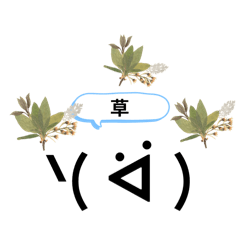 nikonikosan_20260426210602