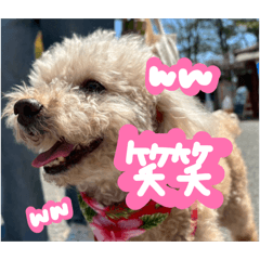 minmin_20260426210540