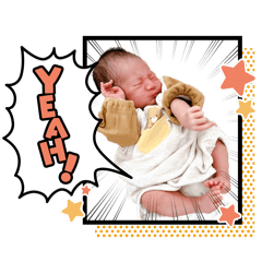 maple_20260426210944