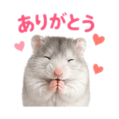 Cutest little hamster