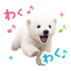 Cute little baby polar bear