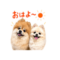 keirinko_20260427133741