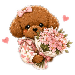 Misa do mignon_20260427134232