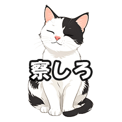 Shion's Dark Humor Cat Stickers