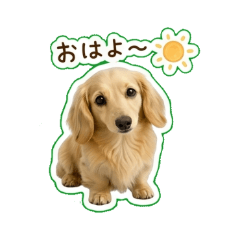 Daily Word Dachshund Sticker  Leo!