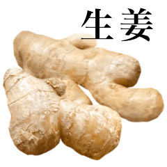 Flesh Ginger 3