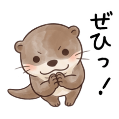 Cute Otter's Daily Life 2 (Quick & Easy)