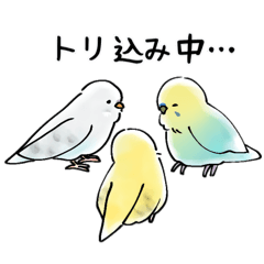 あやのすけファミリーの日常スタンプ