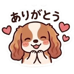 Sweet Cavalier King Charles Spaniel