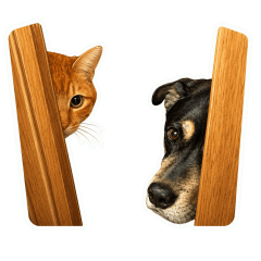 Lucky & Chris Cat and Dog Daily Stickers