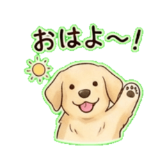 Cute & chill Labrador stickers