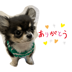 mayuge_20260425204533