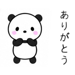 Panpan Studio_20260425211337