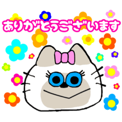 enica_20260425212645