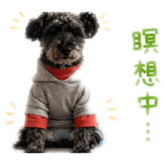 Eruzo san_20260425220027