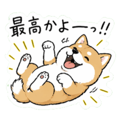 High Energy Dogs for Every Emotion