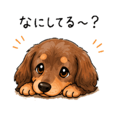 Relaxed Dachshund: Daily Chat