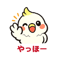 lemon_20260425220511