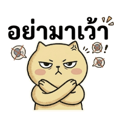 suwimon suksri_20260426233922