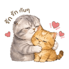 CAT Family P_20260426230216