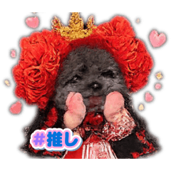 fujiko_mama_20260427105117