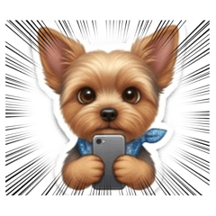 chihiro.._20260427105709