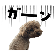 pono.bms_20260427124016