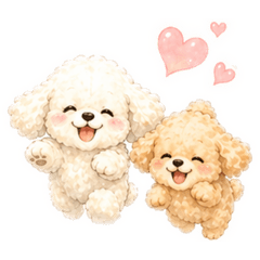 maari_20260427124424