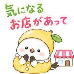 Fruit Shimaenaga_Let's Eat Together