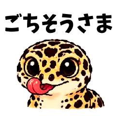 Life with a Leopard Gecko5