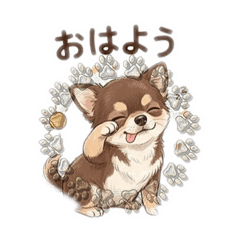 Noble Chihuahua_20260425222132