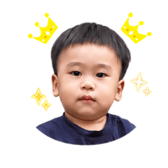 Faylix_20260427004337